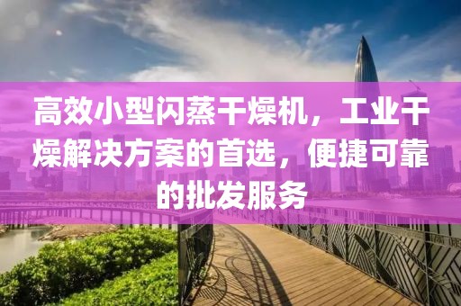 高效小型闪蒸干燥机，工业干燥解决方案的首选，便捷可靠的批发服务