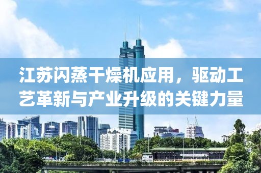 江苏闪蒸干燥机应用，驱动工艺革新与产业升级的关键力量