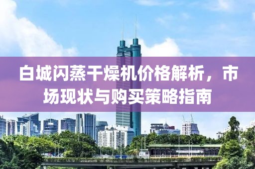 白城闪蒸干燥机价格解析，市场现状与购买策略指南