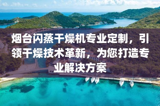 烟台闪蒸干燥机专业定制，引领干燥技术革新，为您打造专业解决方案