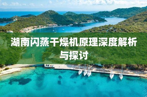 湖南闪蒸干燥机原理深度解析与探讨