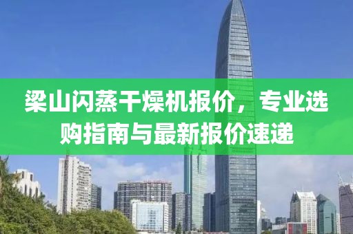 梁山闪蒸干燥机报价，专业选购指南与最新报价速递