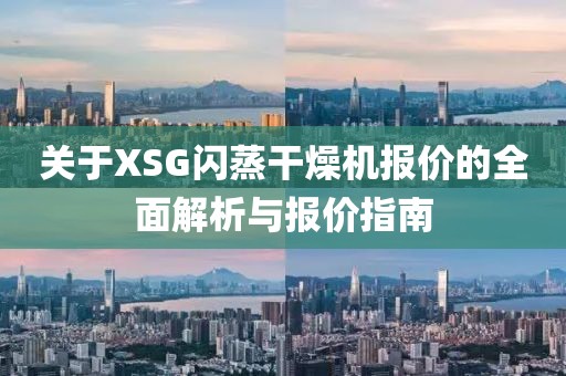 关于XSG闪蒸干燥机报价的全面解析与报价指南