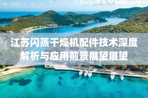 江苏闪蒸干燥机配件技术深度解析与应用前景展望展望