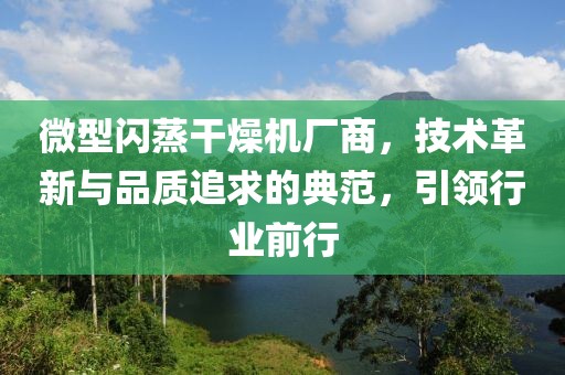 微型闪蒸干燥机厂商，技术革新与品质追求的典范，引领行业前行