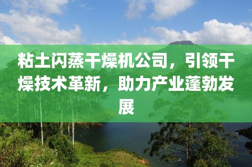 粘土闪蒸干燥机公司，引领干燥技术革新，助力产业蓬勃发展