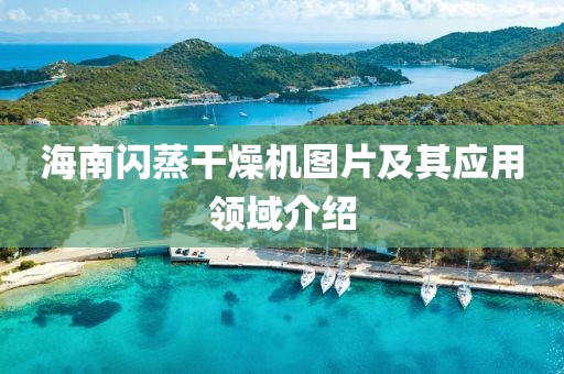 海南闪蒸干燥机图片及其应用领域介绍