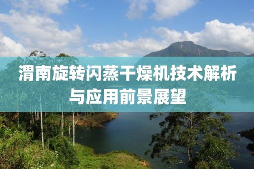 渭南旋转闪蒸干燥机技术解析与应用前景展望