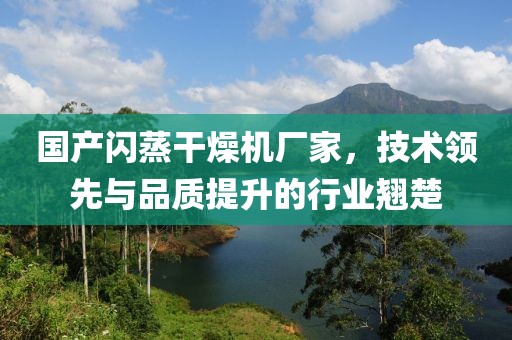 国产闪蒸干燥机厂家，技术领先与品质提升的行业翘楚