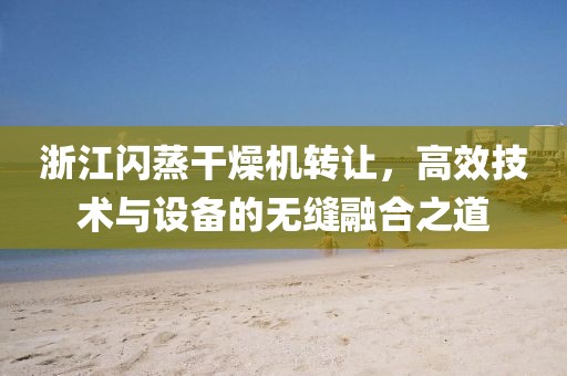 浙江闪蒸干燥机转让，高效技术与设备的无缝融合之道