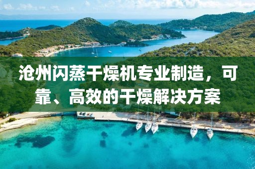 沧州闪蒸干燥机专业制造，可靠、高效的干燥解决方案