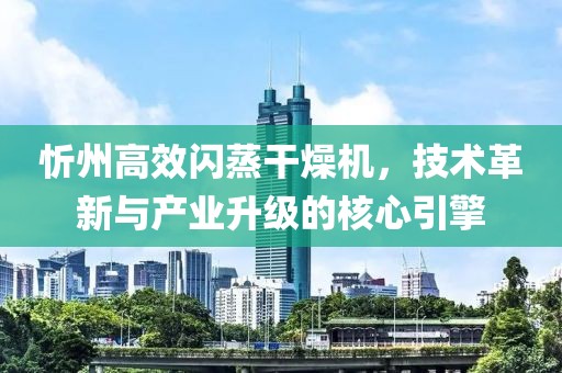 忻州高效闪蒸干燥机，技术革新与产业升级的核心引擎