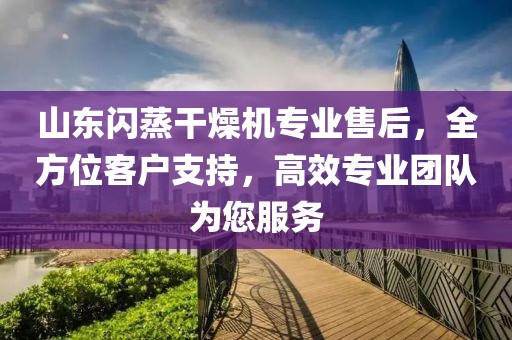 山东闪蒸干燥机专业售后，全方位客户支持，高效专业团队为您服务