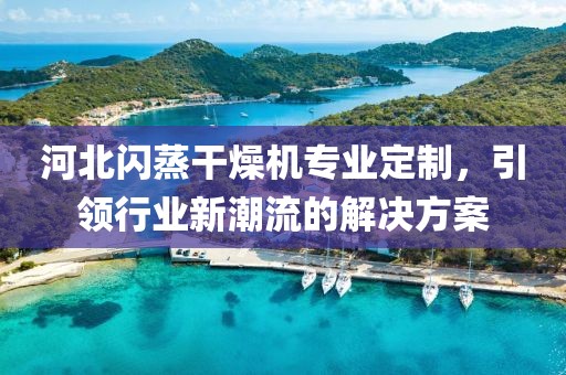 河北闪蒸干燥机专业定制，引领行业新潮流的解决方案