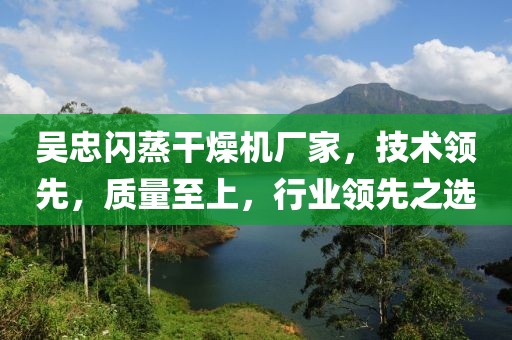 吴忠闪蒸干燥机厂家，技术领先，质量至上，行业领先之选