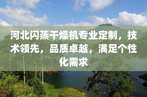 河北闪蒸干燥机专业定制，技术领先，品质卓越，满足个性化需求