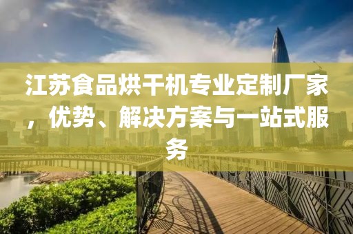 江苏食品烘干机专业定制厂家，优势、解决方案与一站式服务