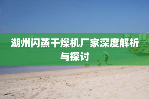 湖州闪蒸干燥机厂家深度解析与探讨