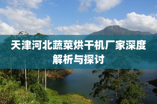 天津河北蔬菜烘干机厂家深度解析与探讨