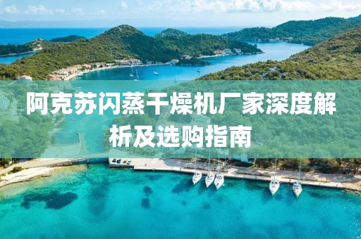 阿克苏闪蒸干燥机厂家深度解析及选购指南