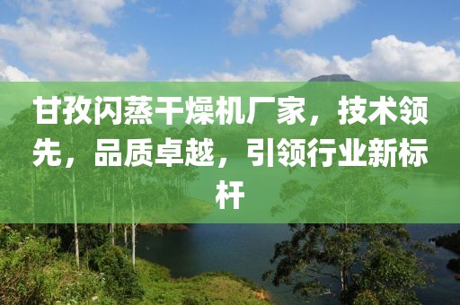 甘孜闪蒸干燥机厂家，技术领先，品质卓越，引领行业新标杆