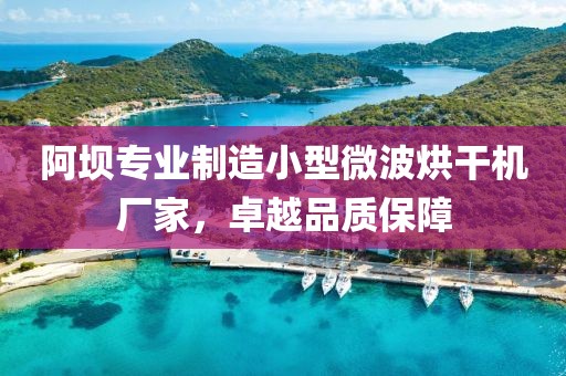 阿坝专业制造小型微波烘干机厂家，卓越品质保障