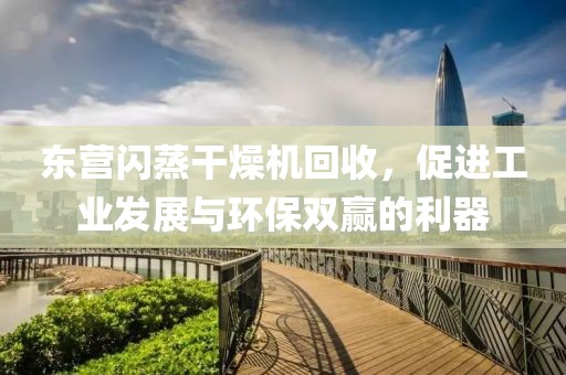 东营闪蒸干燥机回收，促进工业发展与环保双赢的利器