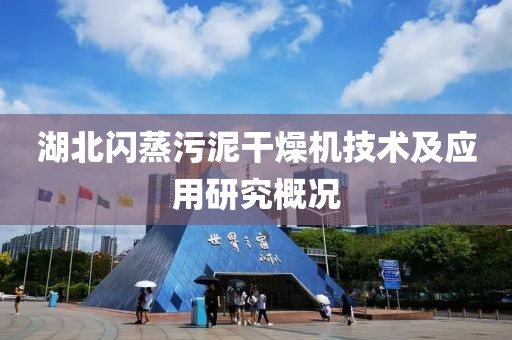 湖北闪蒸污泥干燥机技术及应用研究概况