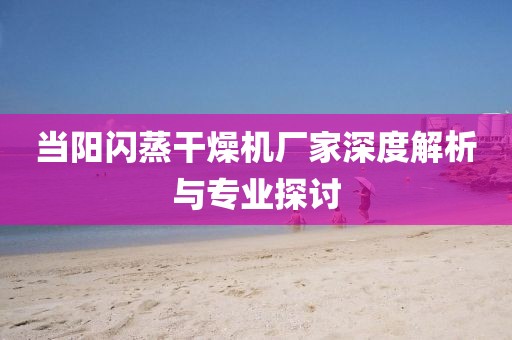 当阳闪蒸干燥机厂家深度解析与专业探讨