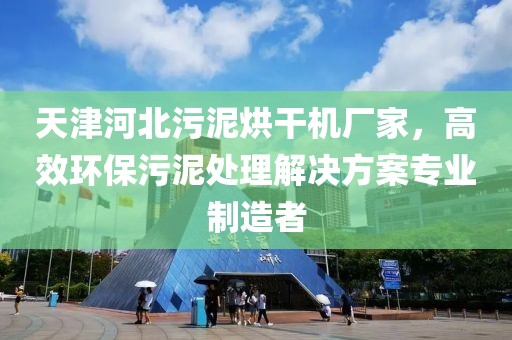 天津河北污泥烘干机厂家，高效环保污泥处理解决方案专业制造者