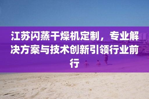 江苏闪蒸干燥机定制，专业解决方案与技术创新引领行业前行