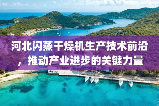 河北闪蒸干燥机生产技术前沿，推动产业进步的关键力量