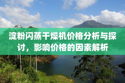 淀粉闪蒸干燥机价格分析与探讨，影响价格的因素解析