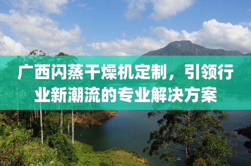 广西闪蒸干燥机定制，引领行业新潮流的专业解决方案