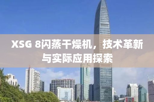 XSG 8闪蒸干燥机，技术革新与实际应用探索