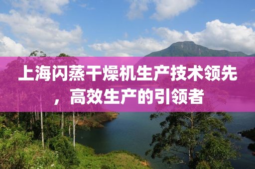 上海闪蒸干燥机生产技术领先，高效生产的引领者