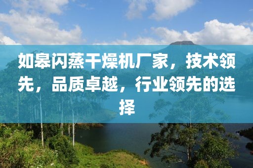 如皋闪蒸干燥机厂家，技术领先，品质卓越，行业领先的选择