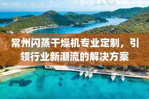 常州闪蒸干燥机专业定制，引领行业新潮流的解决方案