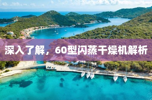 深入了解，60型闪蒸干燥机解析