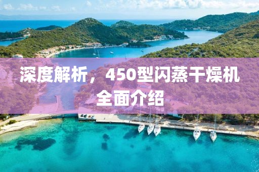 深度解析，450型闪蒸干燥机全面介绍