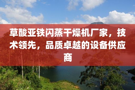 草酸亚铁闪蒸干燥机厂家，技术领先，品质卓越的设备供应商