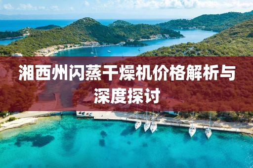 湘西州闪蒸干燥机价格解析与深度探讨