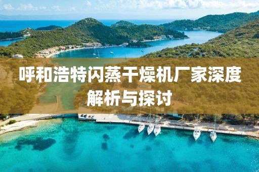 呼和浩特闪蒸干燥机厂家深度解析与探讨