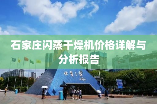 石家庄闪蒸干燥机价格详解与分析报告