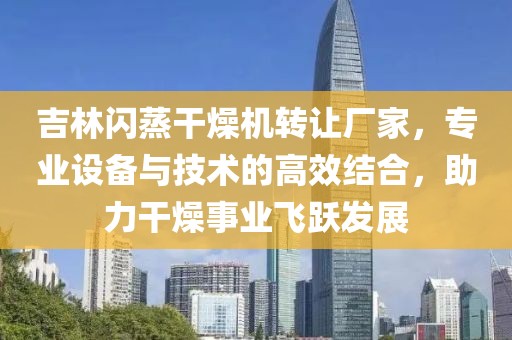 吉林闪蒸干燥机转让厂家，专业设备与技术的高效结合，助力干燥事业飞跃发展