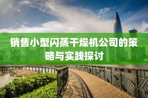 销售小型闪蒸干燥机公司的策略与实践探讨