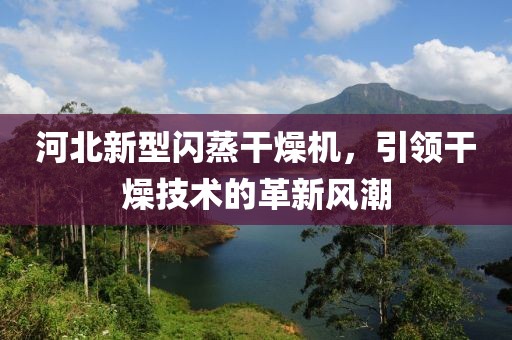 河北新型闪蒸干燥机，引领干燥技术的革新风潮