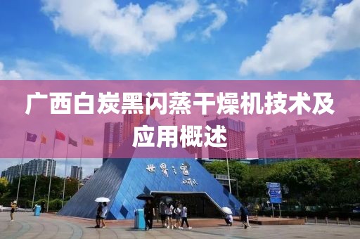 广西白炭黑闪蒸干燥机技术及应用概述