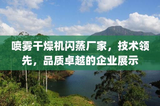 喷雾干燥机闪蒸厂家，技术领先，品质卓越的企业展示