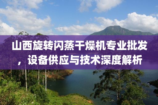 山西旋转闪蒸干燥机专业批发，设备供应与技术深度解析